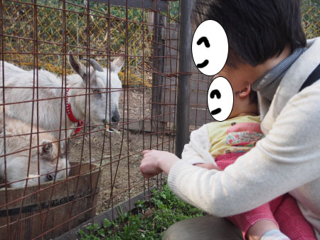 f:id:sn1nsmr:20160323114750j:image f:id:sn1nsmr:20160323114750j:image