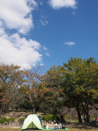 f:id:sn1nsmr:20161012113703j:image