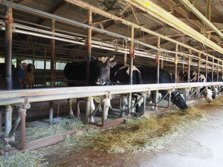 f:id:sn1nsmr:20161104103154j:image f:id:sn1nsmr:20161104103154j:image