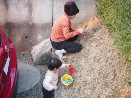 f:id:sn1nsmr:20170321125559j:image