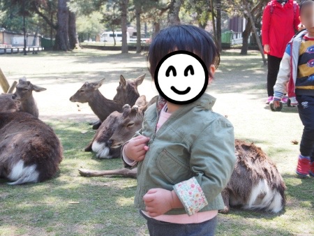 f:id:sn1nsmr:20170404014313j:image
