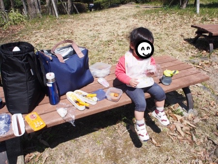 f:id:sn1nsmr:20170404234334j:image