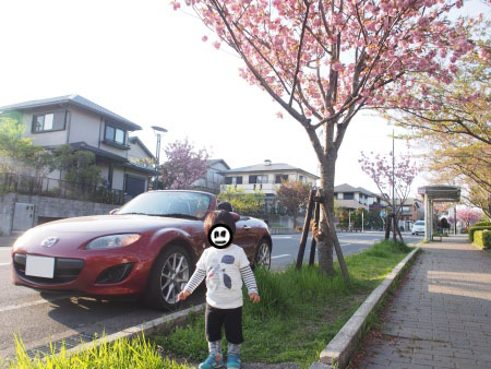 f:id:sn1nsmr:20170424111400j:image