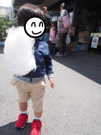 f:id:sn1nsmr:20170529113517j:image