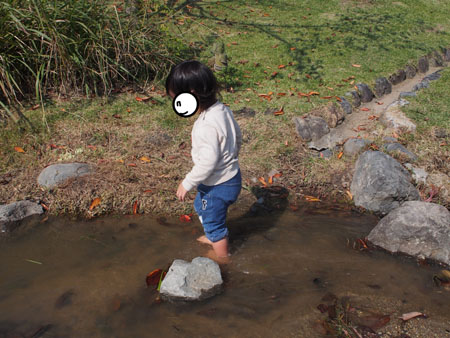 f:id:sn1nsmr:20171104123445j:image