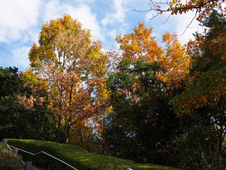 f:id:sn1nsmr:20171113150400j:image