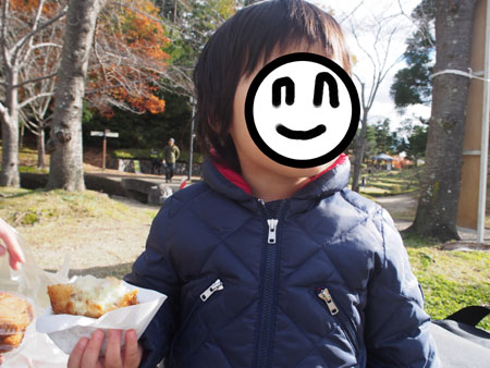 f:id:sn1nsmr:20171120125143j:image