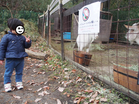 f:id:sn1nsmr:20180109143900j:image f:id:sn1nsmr:20180109143900j:image