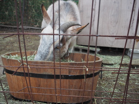 f:id:sn1nsmr:20180109143903j:image f:id:sn1nsmr:20180109143903j:image