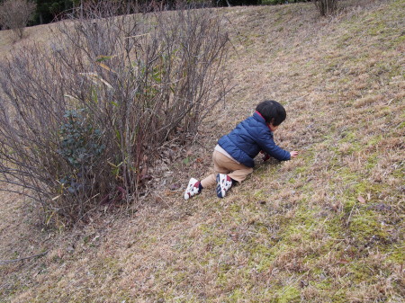 f:id:sn1nsmr:20180115090258j:image f:id:sn1nsmr:20180115090258j:image