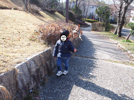 f:id:sn1nsmr:20180312114547j:image f:id:sn1nsmr:20180312114547j:image