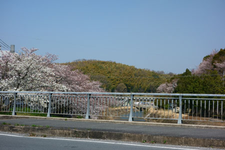 f:id:sn1nsmr:20180329114805j:image