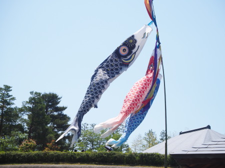 f:id:sn1nsmr:20180507153901j:image f:id:sn1nsmr:20180507153901j:image