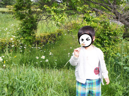 f:id:sn1nsmr:20180507153904j:image f:id:sn1nsmr:20180507153904j:image