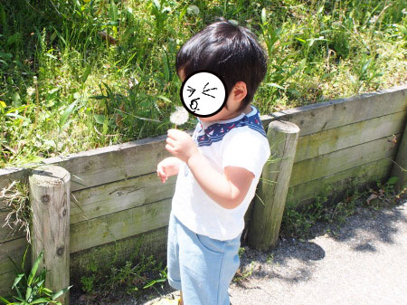 f:id:sn1nsmr:20180507154218j:image f:id:sn1nsmr:20180507154218j:image