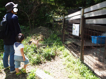 f:id:sn1nsmr:20180507154231j:image f:id:sn1nsmr:20180507154231j:image