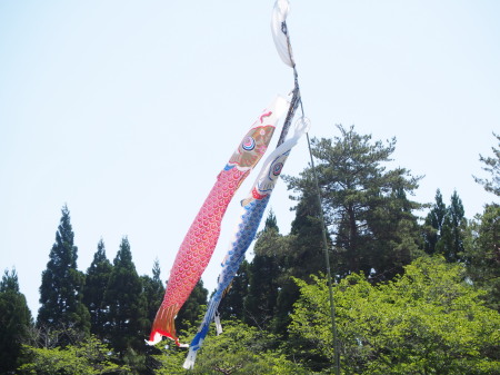 f:id:sn1nsmr:20180507154426j:image f:id:sn1nsmr:20180507154426j:image