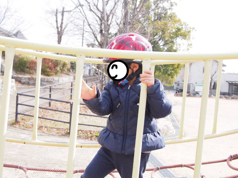 f:id:sn1nsmr:20190225114009j:plain