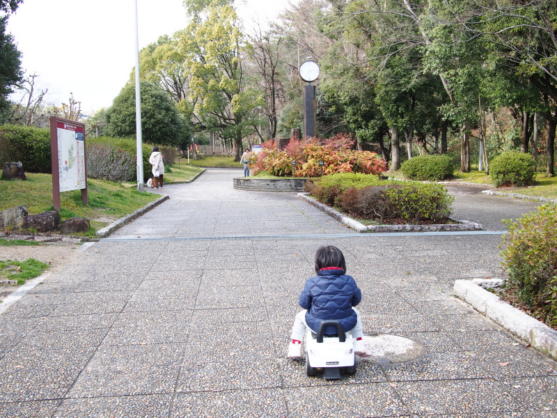 f:id:sn1nsmr:20190318130204j:plain