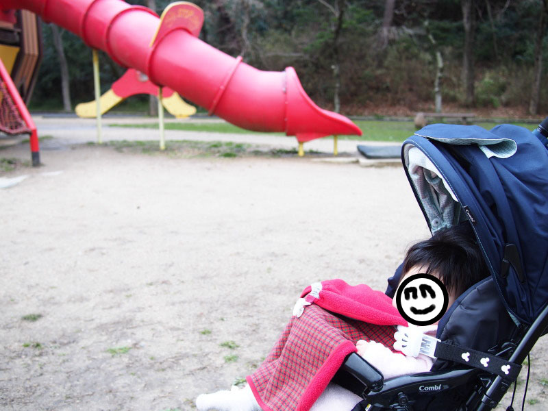 f:id:sn1nsmr:20190318130455j:plain