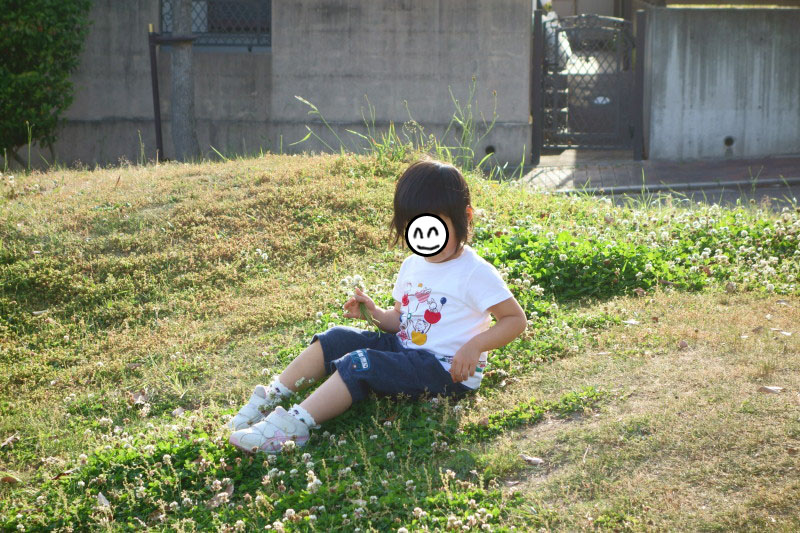 f:id:sn1nsmr:20190517132410j:plain