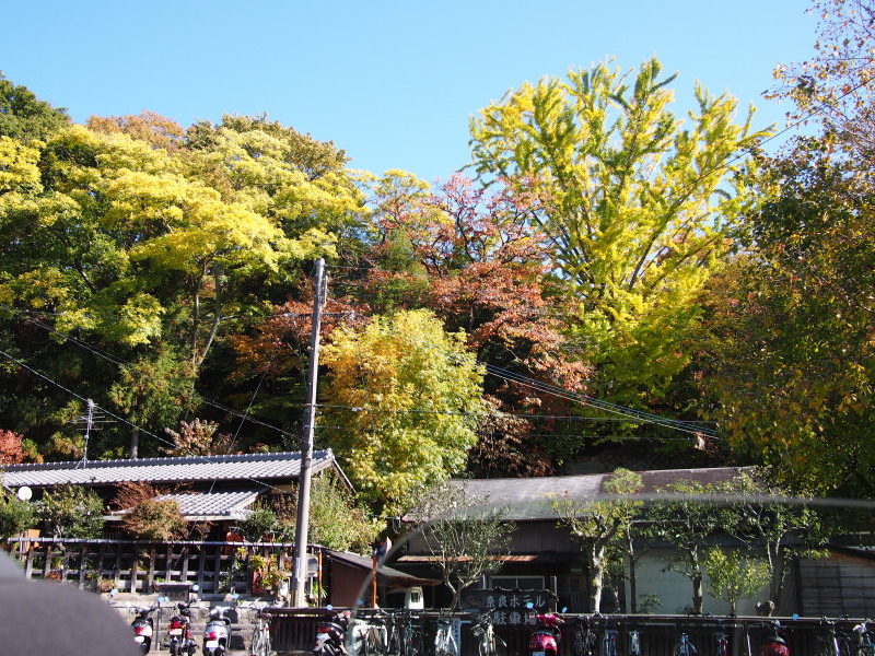 f:id:sn1nsmr:20191116123141j:plain f:id:sn1nsmr:20191116123141j:plain