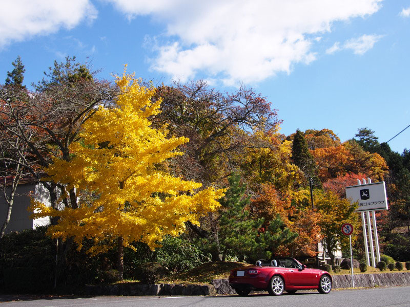 f:id:sn1nsmr:20191116123204j:plain f:id:sn1nsmr:20191116123204j:plain