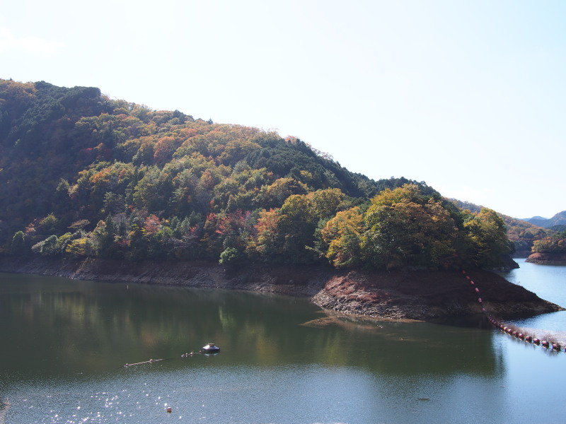 f:id:sn1nsmr:20191116123414j:plain f:id:sn1nsmr:20191116123414j:plain