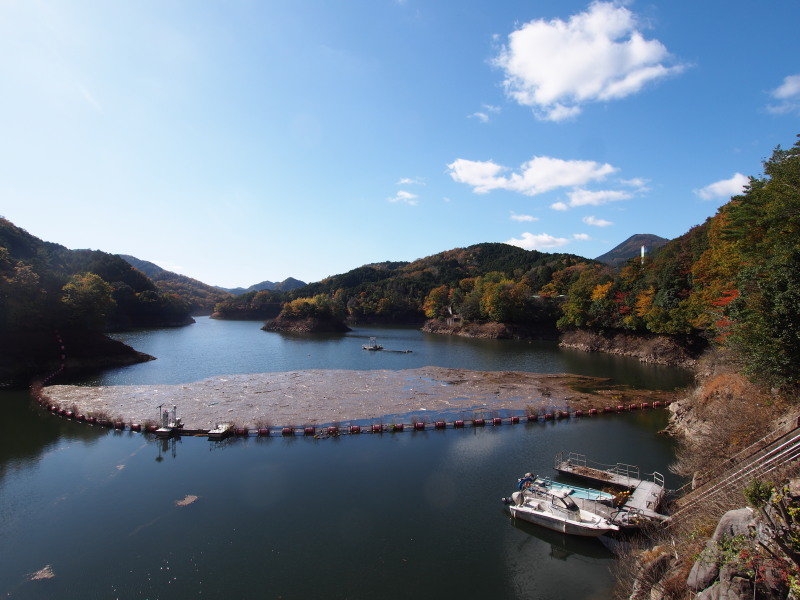 f:id:sn1nsmr:20191116123458j:plain f:id:sn1nsmr:20191116123458j:plain