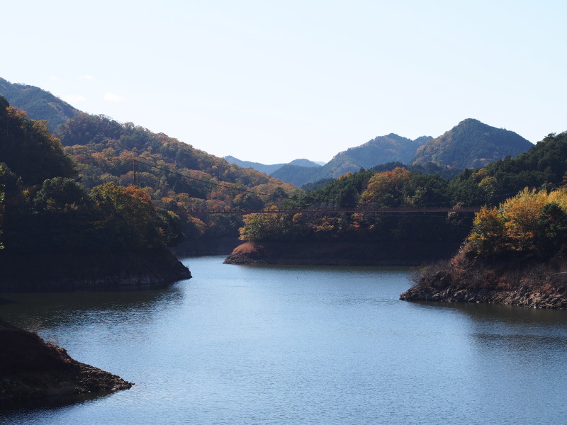 f:id:sn1nsmr:20191116123530j:plain f:id:sn1nsmr:20191116123530j:plain