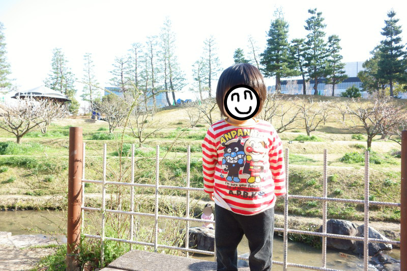 f:id:sn1nsmr:20200319115357j:plain
