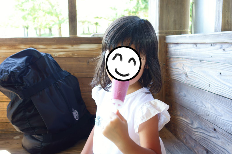 f:id:sn1nsmr:20200907132741j:plain f:id:sn1nsmr:20200907132741j:plain