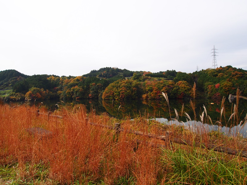 f:id:sn1nsmr:20201116133211j:plain