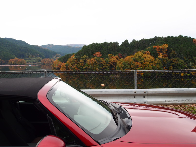 f:id:sn1nsmr:20201116133516j:plain