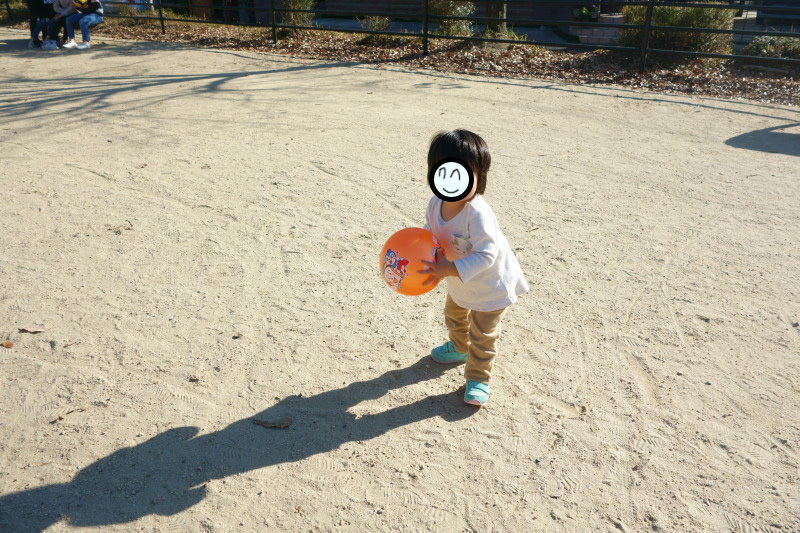 f:id:sn1nsmr:20201207143516j:plain