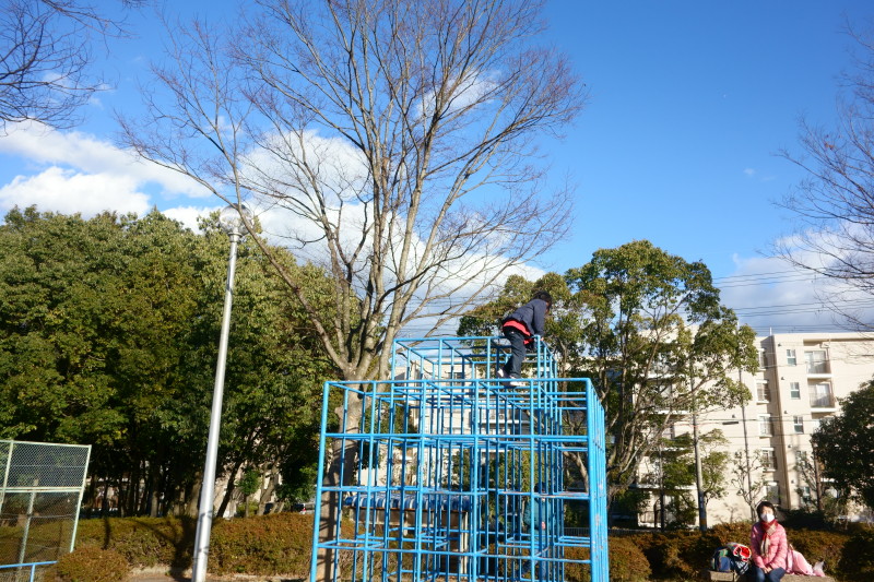 f:id:sn1nsmr:20201217143259j:plain