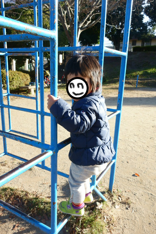 f:id:sn1nsmr:20201217143316j:plain