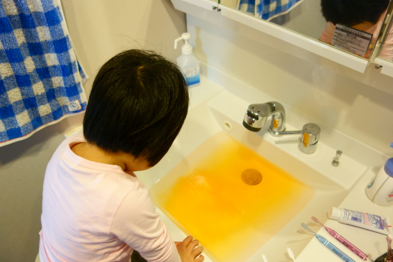 f:id:sn1nsmr:20210407153929j:plain