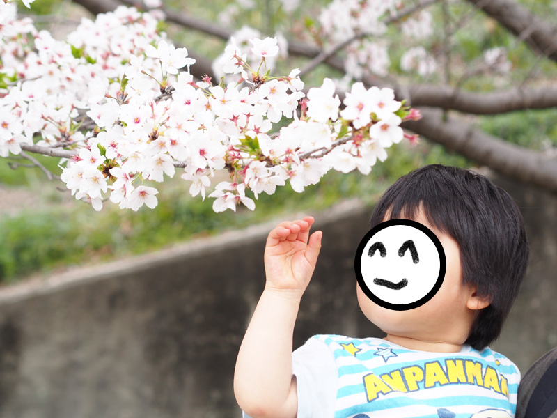 f:id:sn1nsmr:20210407154057j:plain