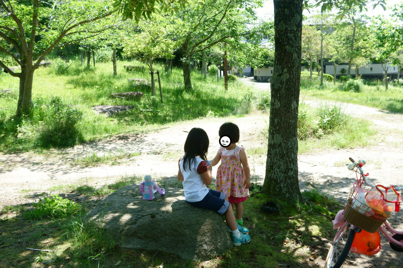 f:id:sn1nsmr:20210601131140j:plain