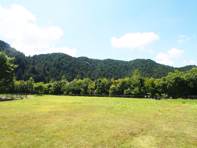 f:id:sn1nsmr:20210808223418j:plain