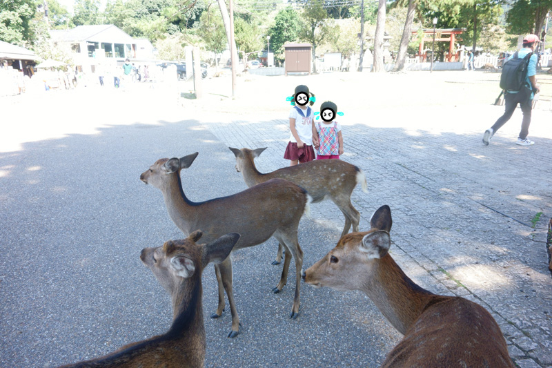 f:id:sn1nsmr:20211004145806j:plain