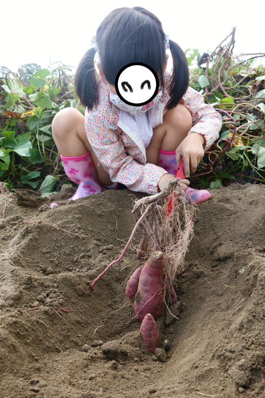 f:id:sn1nsmr:20211018140703j:plain