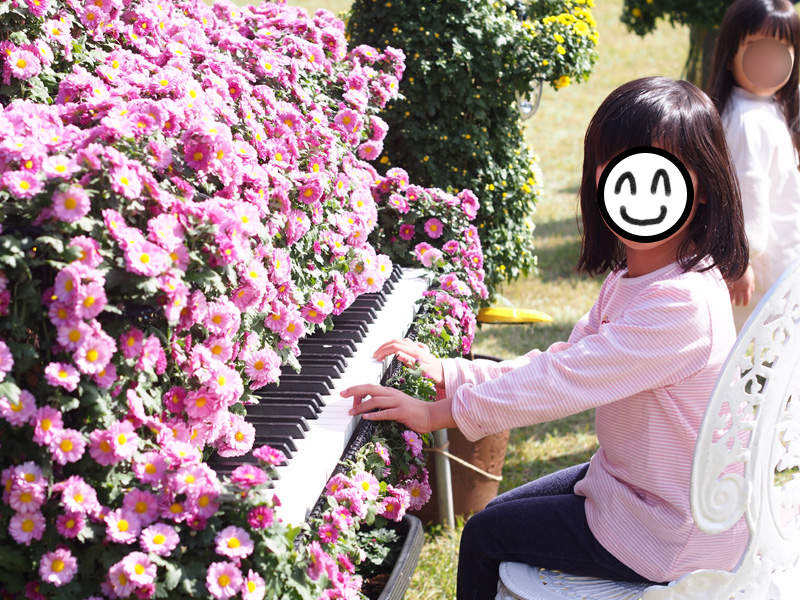 f:id:sn1nsmr:20211025150200j:plain