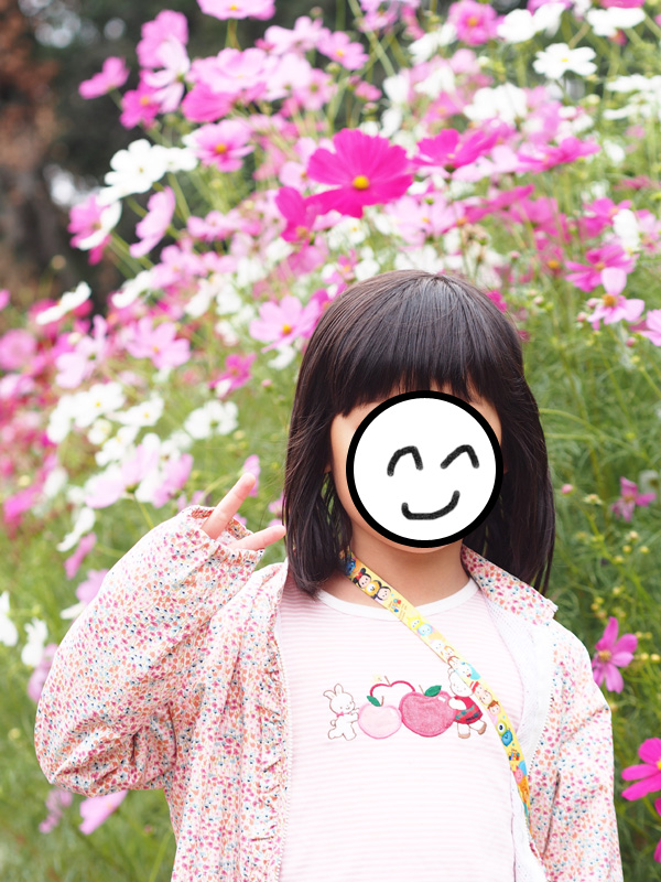 f:id:sn1nsmr:20211025150329j:plain