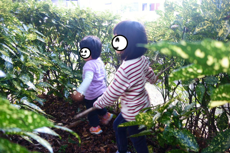 f:id:sn1nsmr:20211027133221j:plain