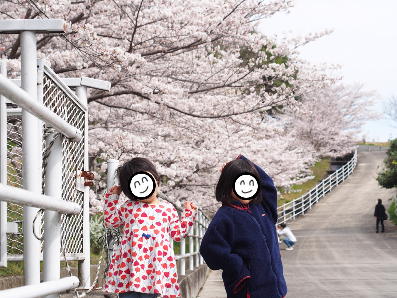 f:id:sn1nsmr:20220408140948j:plain