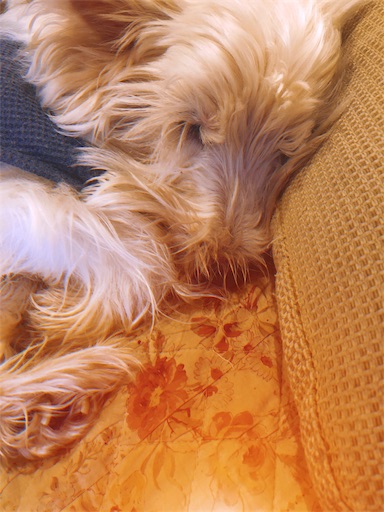 f:id:sn23:20191218175858j:image