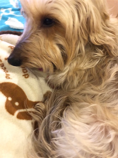 f:id:sn23:20191218175951j:image