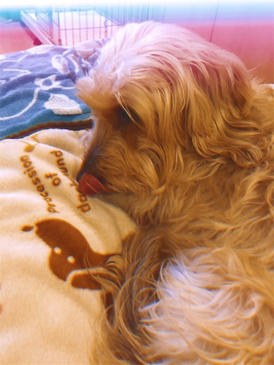 f:id:sn23:20191218180016j:image